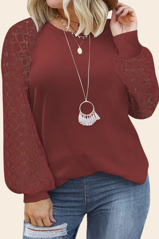 Plus Size Contrast Lace Sleeve Waffle Knit Top